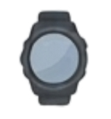 Garmin Watch